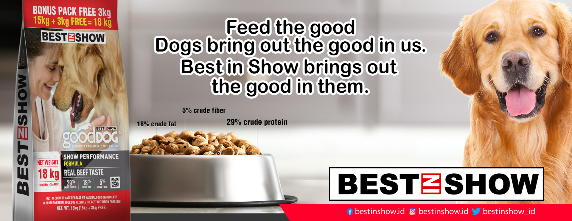 Banner - Dog - Best In Show - Best Pet Food For Your Pet